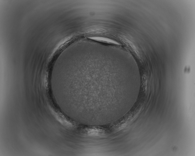 X0000096980400200802151335