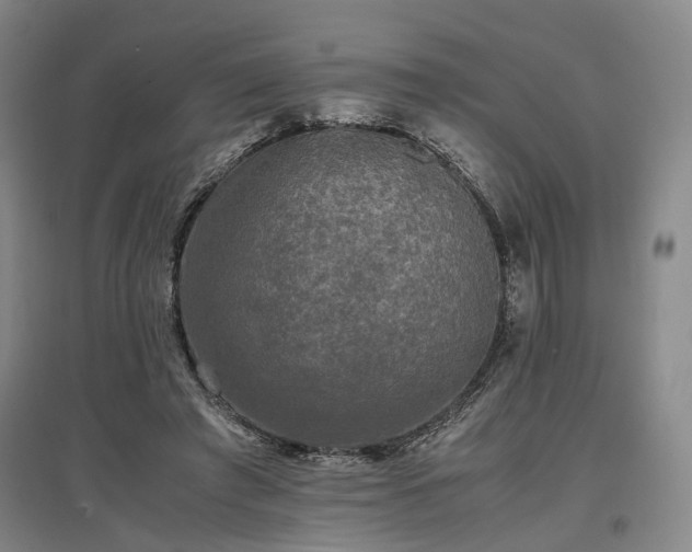 X0000096980401200802151335