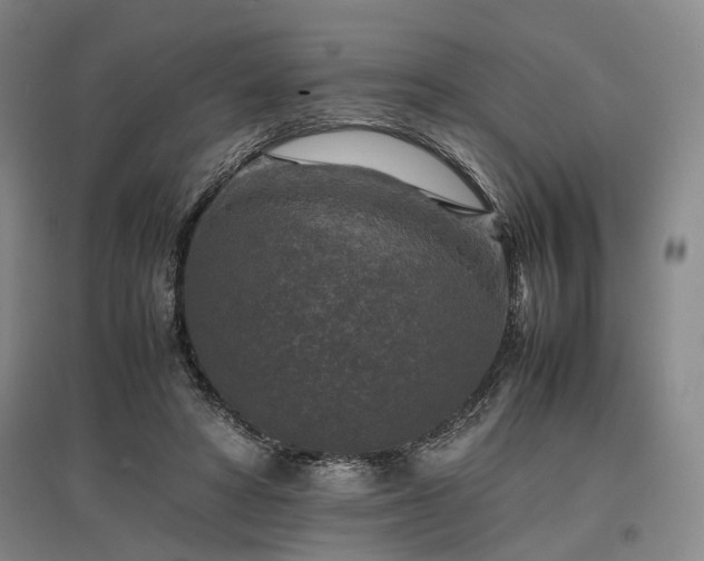 X0000096980402200802151335