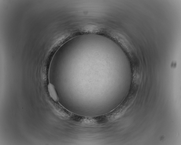 X0000096980403200802151335