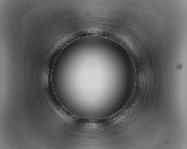 X0000096980404200802151335