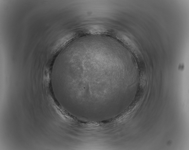 X0000096980405200802151335