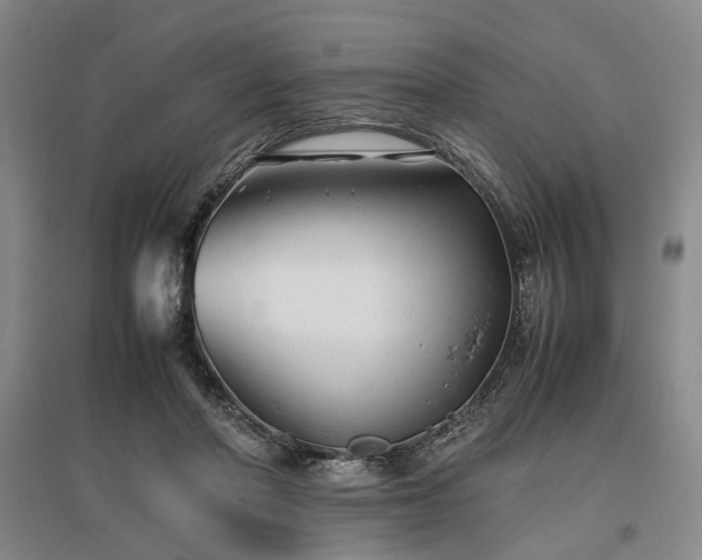 X0000096980406200802151335