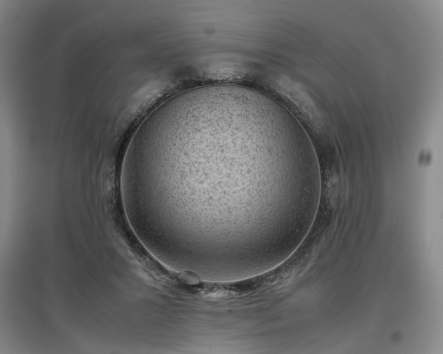 X0000096980407200802151335