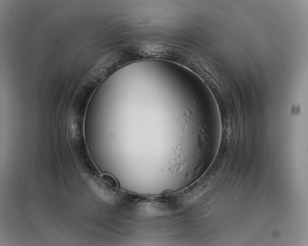 X0000096980408200802151335