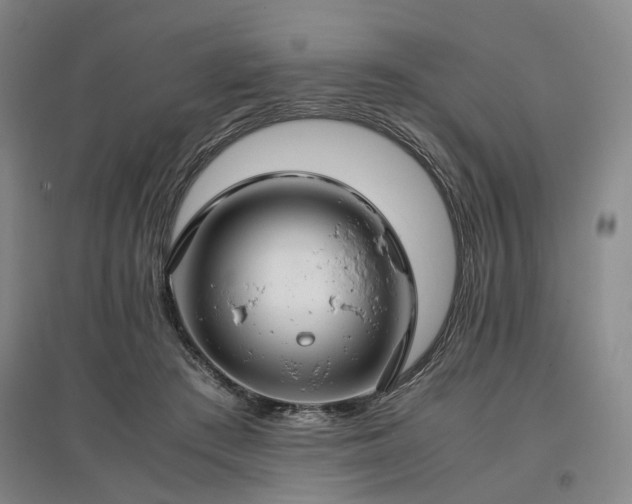 X0000096980409200802151335