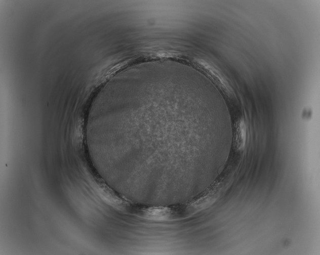 X0000096980410200802151335