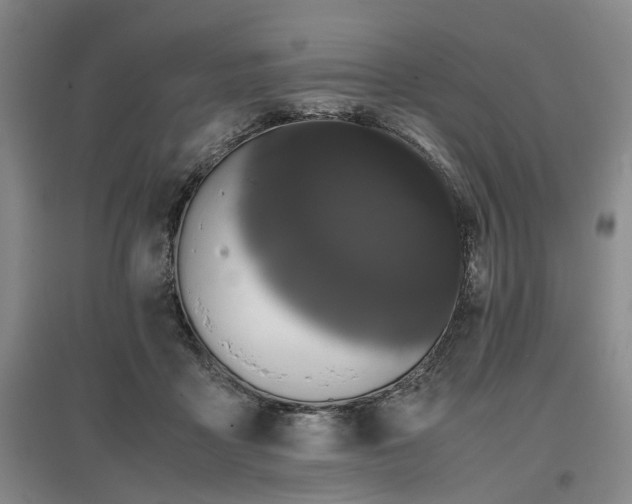 X0000096980411200802151335