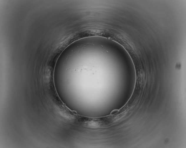 X0000096980412200802151335