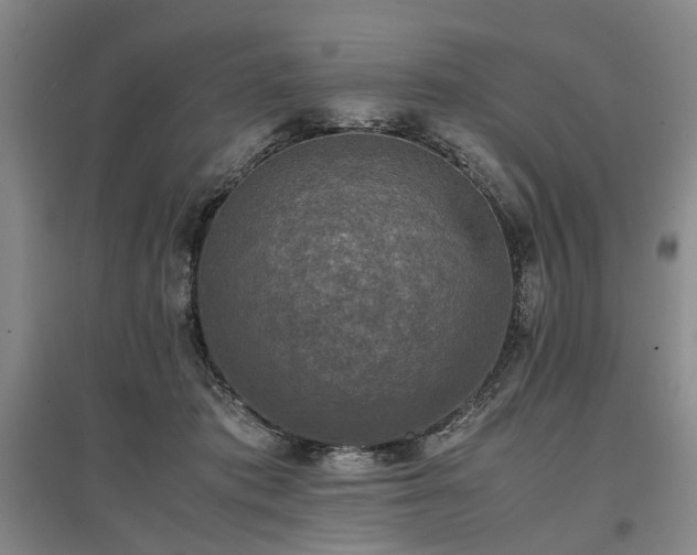 X0000096980413200802151335