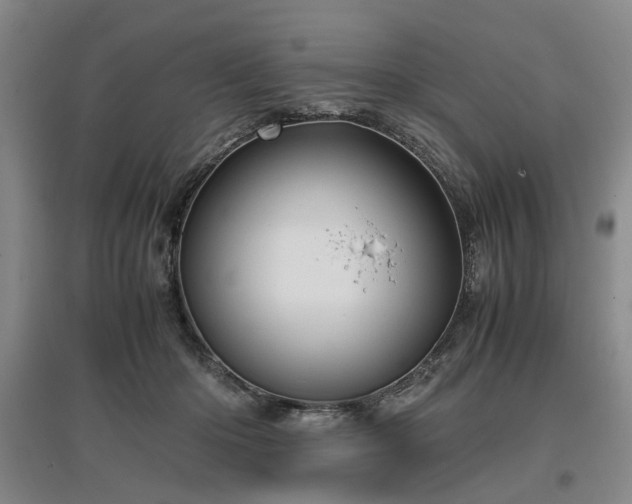 X0000096980414200802151335