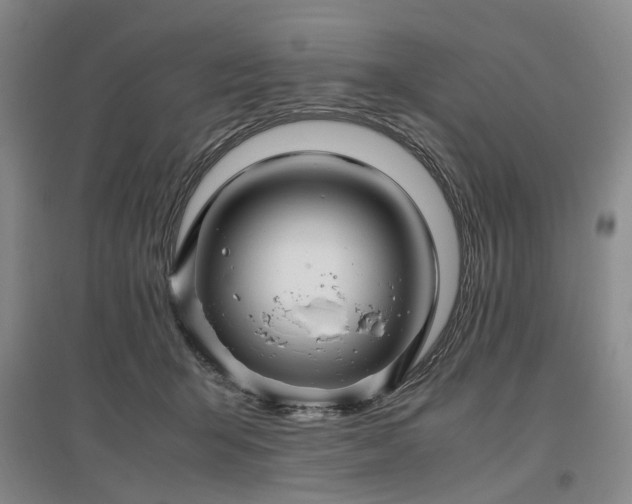 X0000096980415200802151335