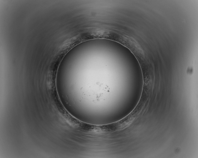 X0000096980416200802151335