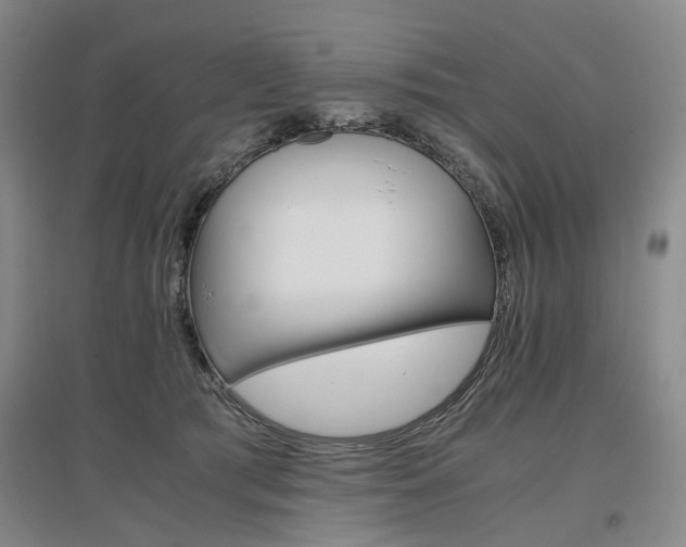 X0000096980417200802151335