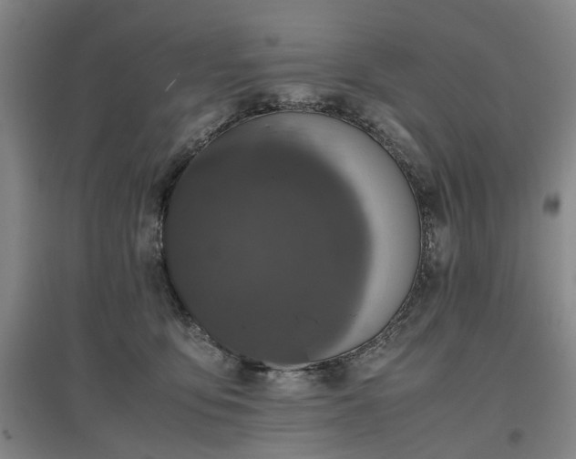 X0000096980419200802151335