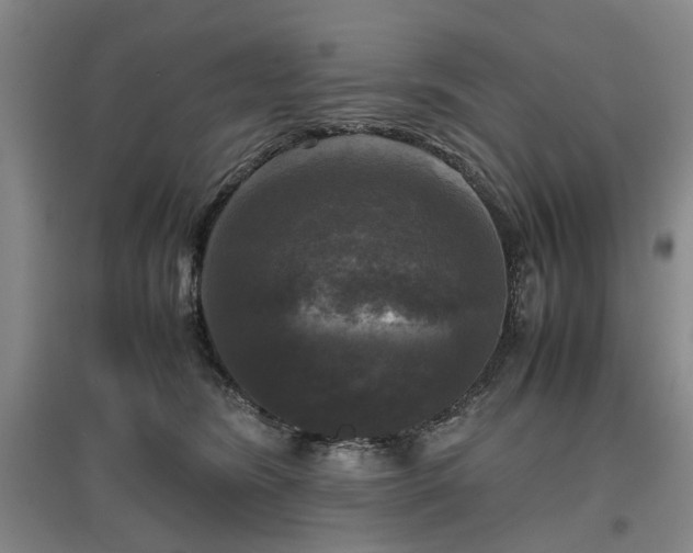 X0000096980420200802151335