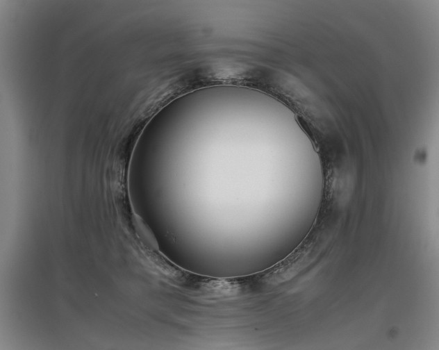 X0000096980421200802151335