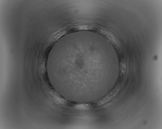 X0000096980422200802151335