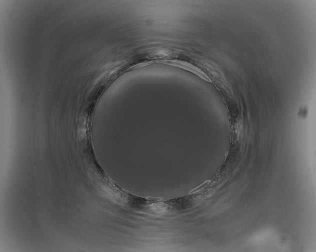 X0000096980423200802151335