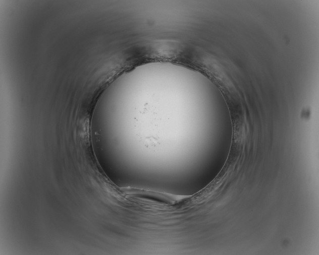 X0000096980425200802151335