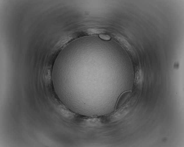 X0000096980426200802151334