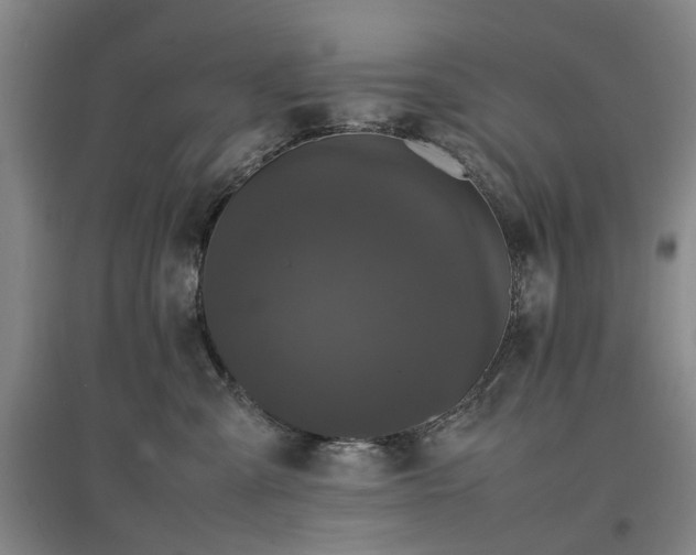 X0000096980427200802151334