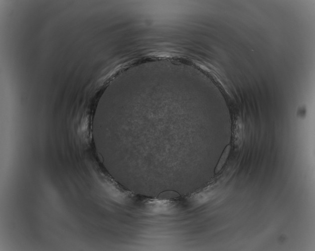 X0000096980428200802151334