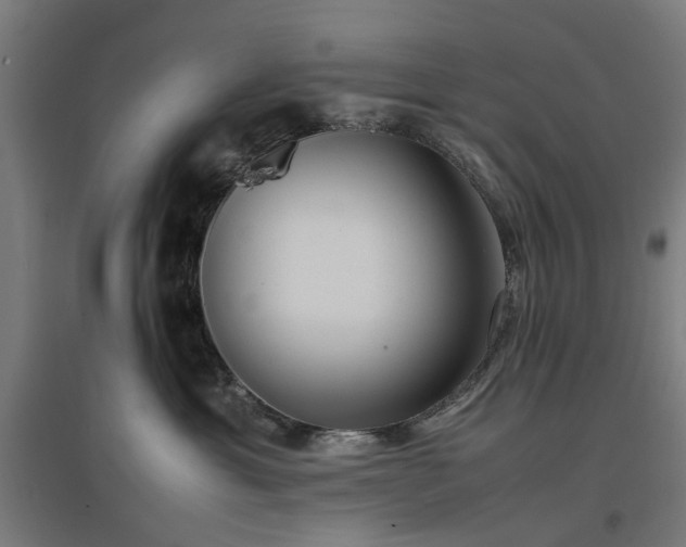 X0000096980429200802151334