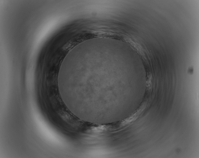 X0000096980430200802151334