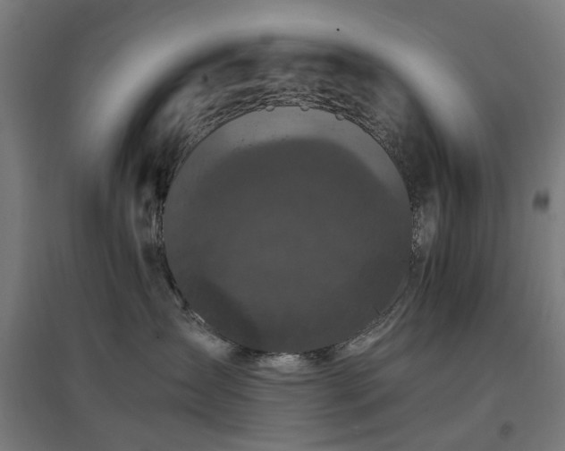 X0000096980431200802151334