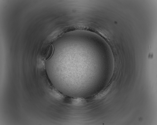 X0000096980432200802151334