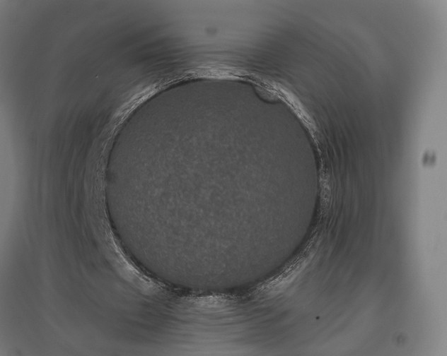 X0000096980433200802151334