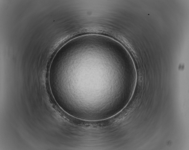 X0000096980434200802151334