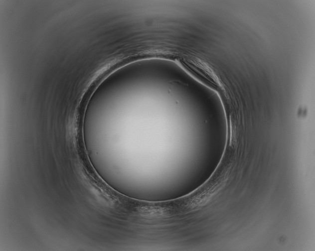 X0000096980435200802151334