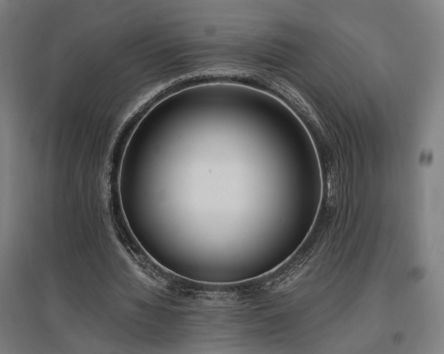 X0000096980436200802151334