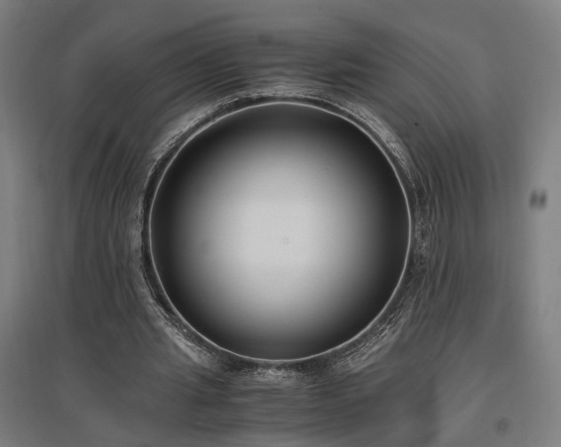 X0000096980437200802151334