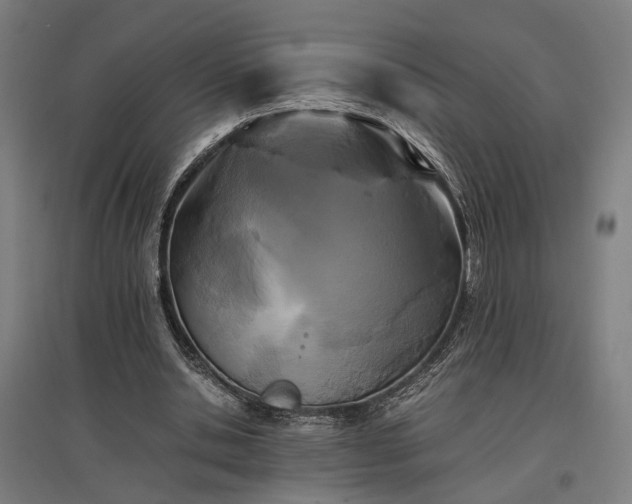 X0000096980438200802151334