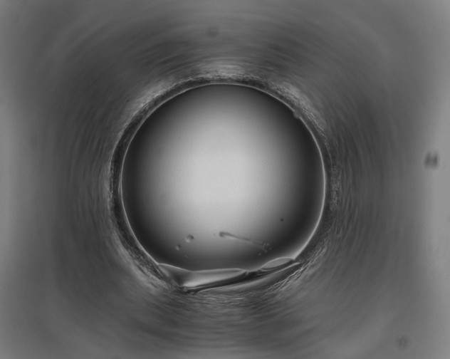 X0000096980439200802151334