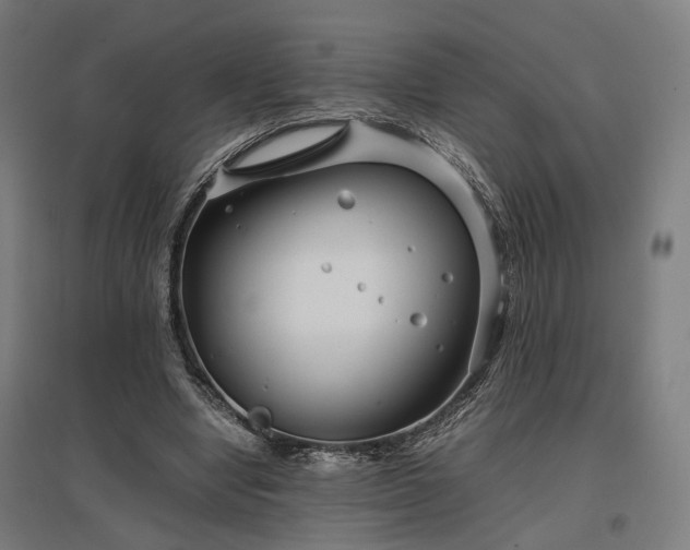 X0000096980442200802151334