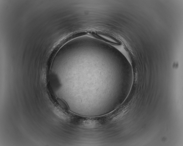 X0000096980444200802151334