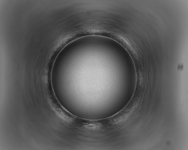 X0000096980447200802151334