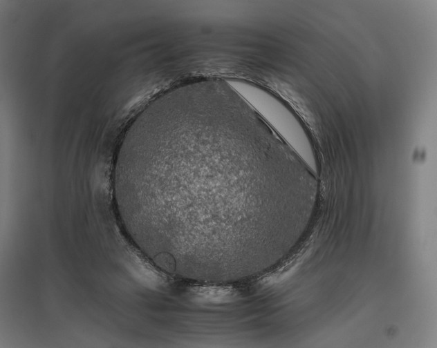 X0000096980449200802151334