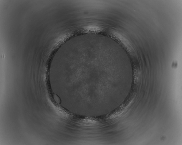 X0000096980451200802151334