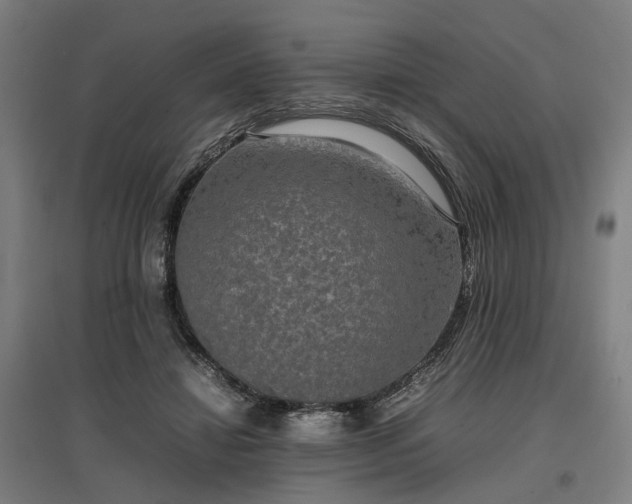 X0000096980452200802151334