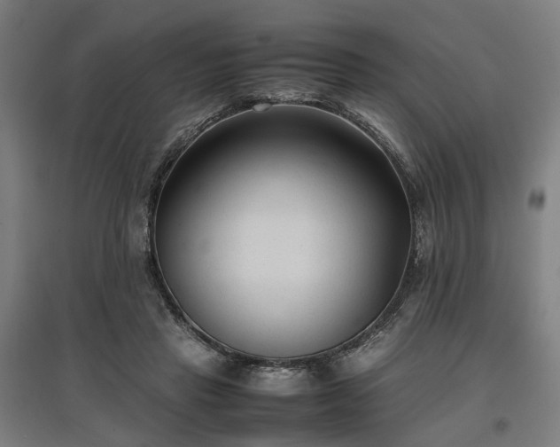 X0000096980453200802151334