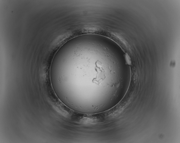 X0000096980455200802151334