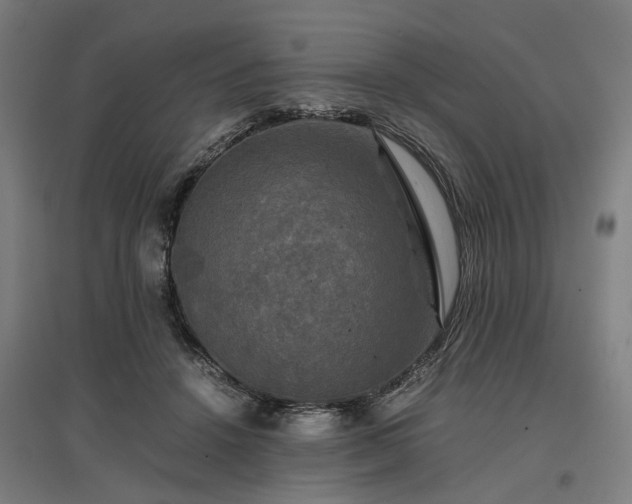 X0000096980456200802151334