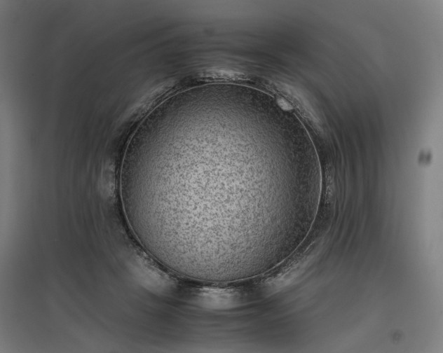 X0000096980457200802151334