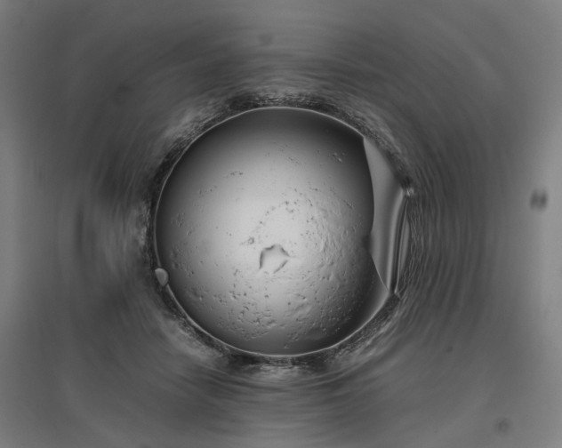 X0000096980458200802151334