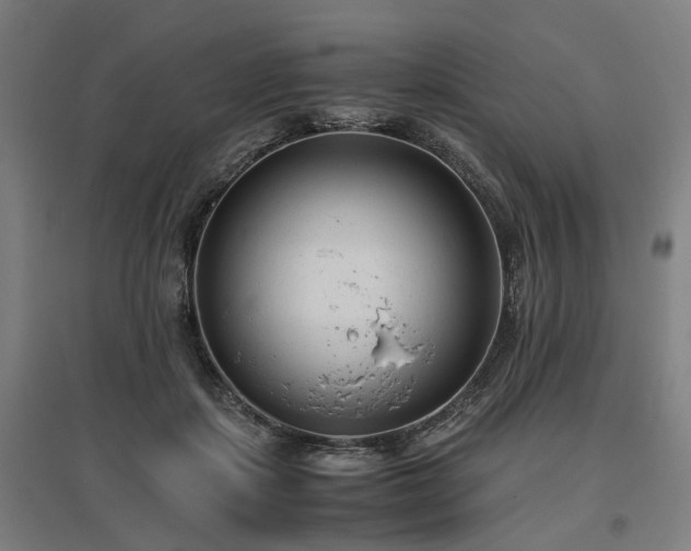 X0000096980459200802151334